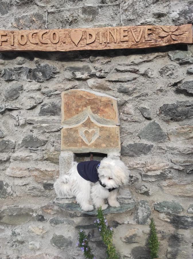 Fiocco Di Neve Montjovet Exterior foto